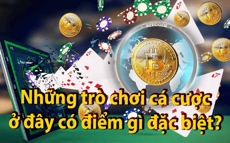 Khám Phá 23Win: Nơi Giải Trí Cá Cược Mới Mẻ